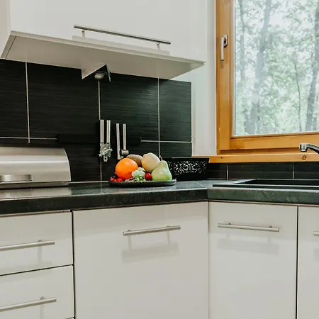 Visitzakopane - Cezar Apartment Eksteriør bilde