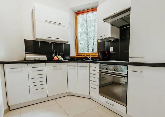 Visitzakopane - Cezar Apartment